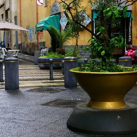 #casa Toto - L'oro Di